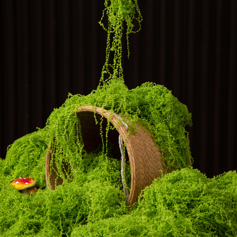 Sphagnum Moss Dry - 200g de mousse éternelle pour artisanat