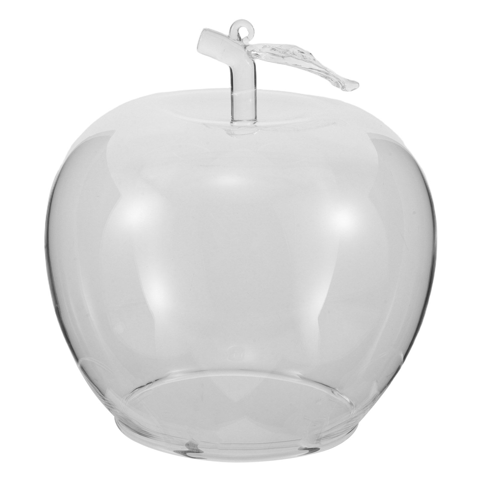 Plastic Dome Clear - Cloche en verre transparent en forme