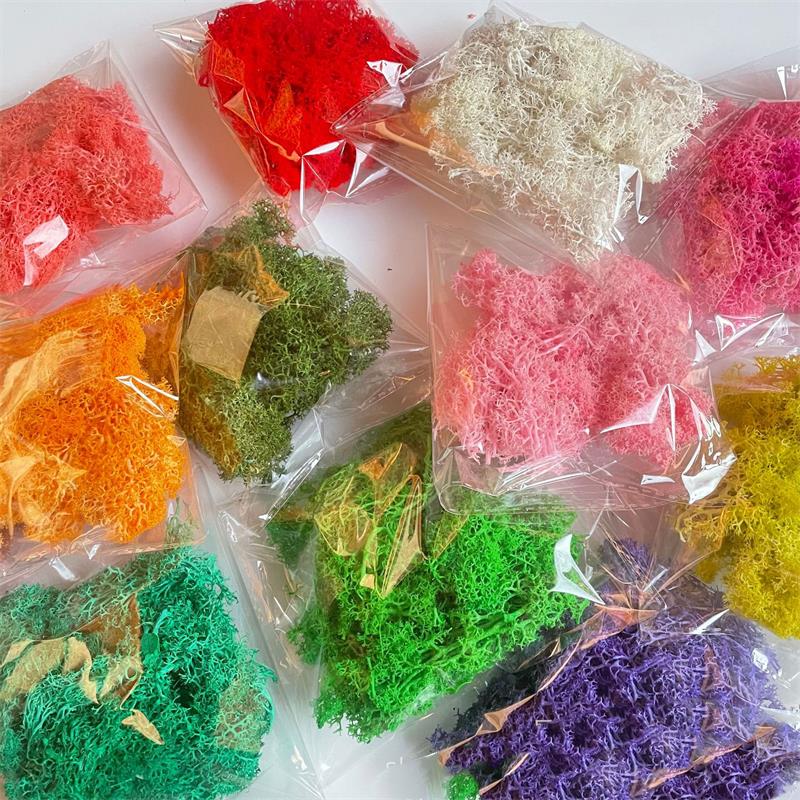 Sphagnum Moss Dry - Plantes vertes artificielles en Polyester, 20-200g,