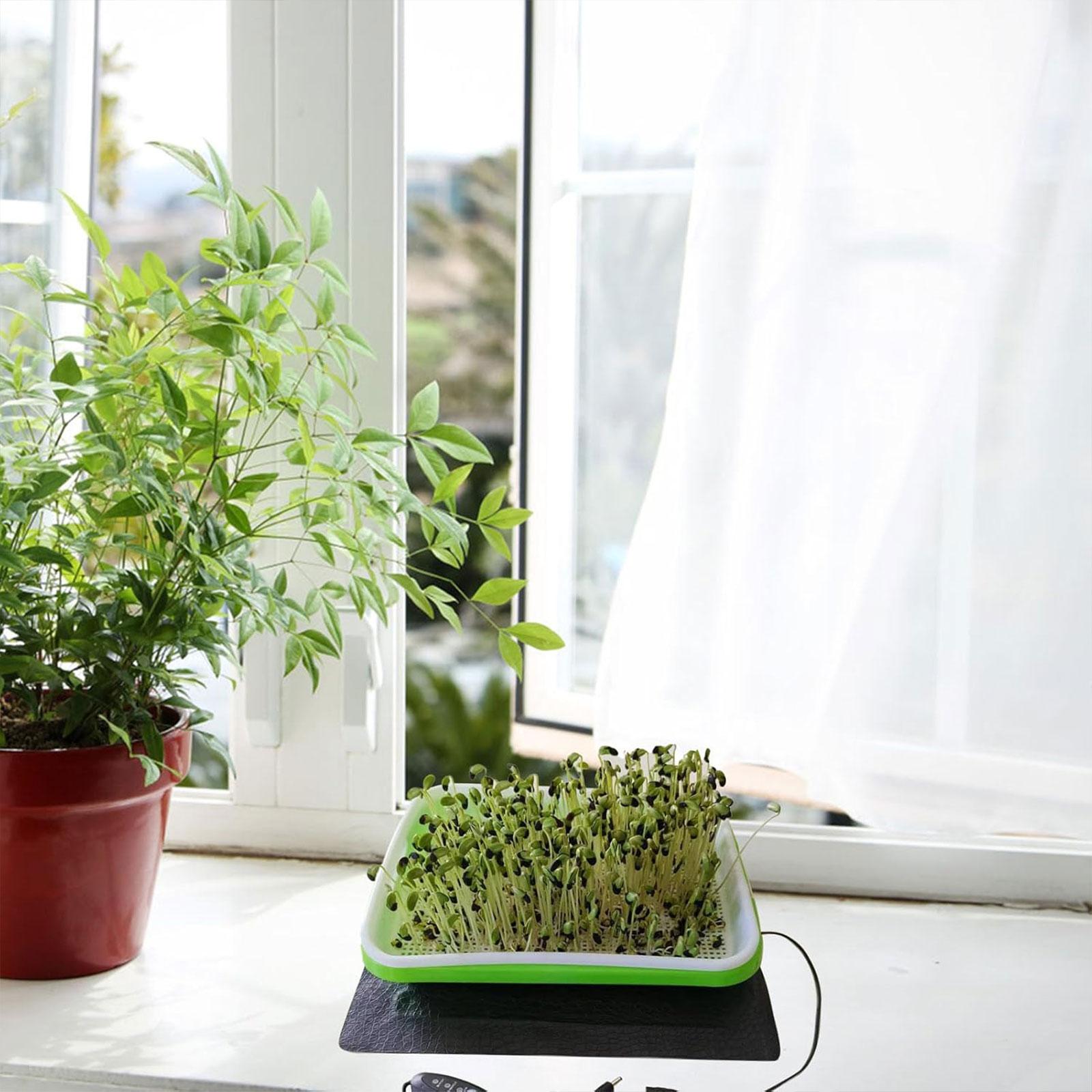 Heat Mat Seedling - Tapis chauffant hydroponique pour la propagation