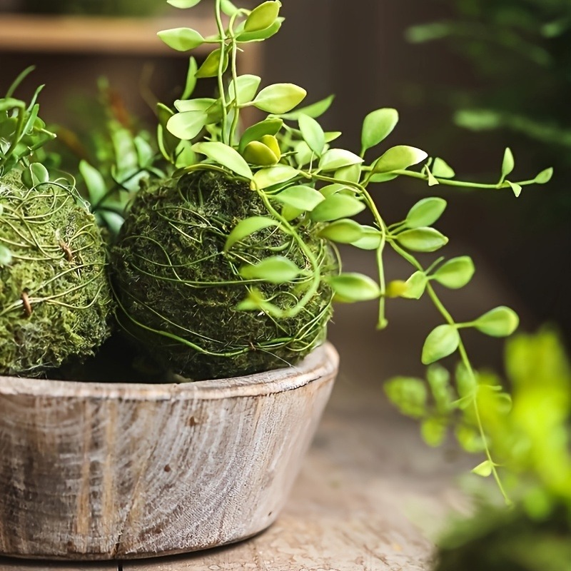 Pot de mousse artificielle, po - Sphagnum Moss Dry avis et prix