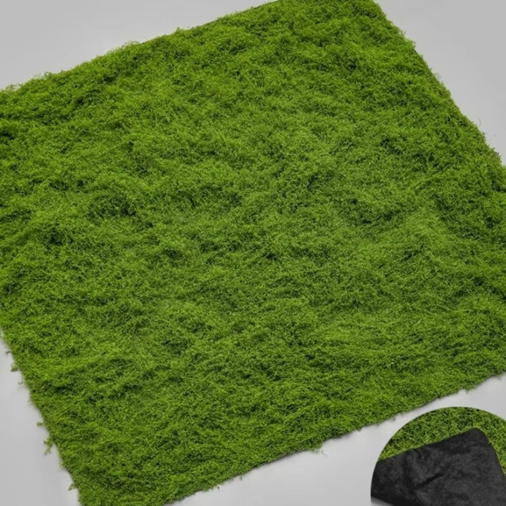 Tapis de gazon artificiel DIY  - Sphagnum Moss Dry avis et prix