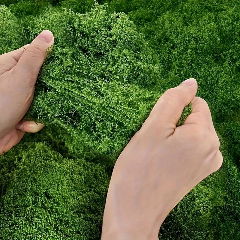Tapis de fausse mousse 20' x 2 - Sphagnum Moss Dry avis et prix