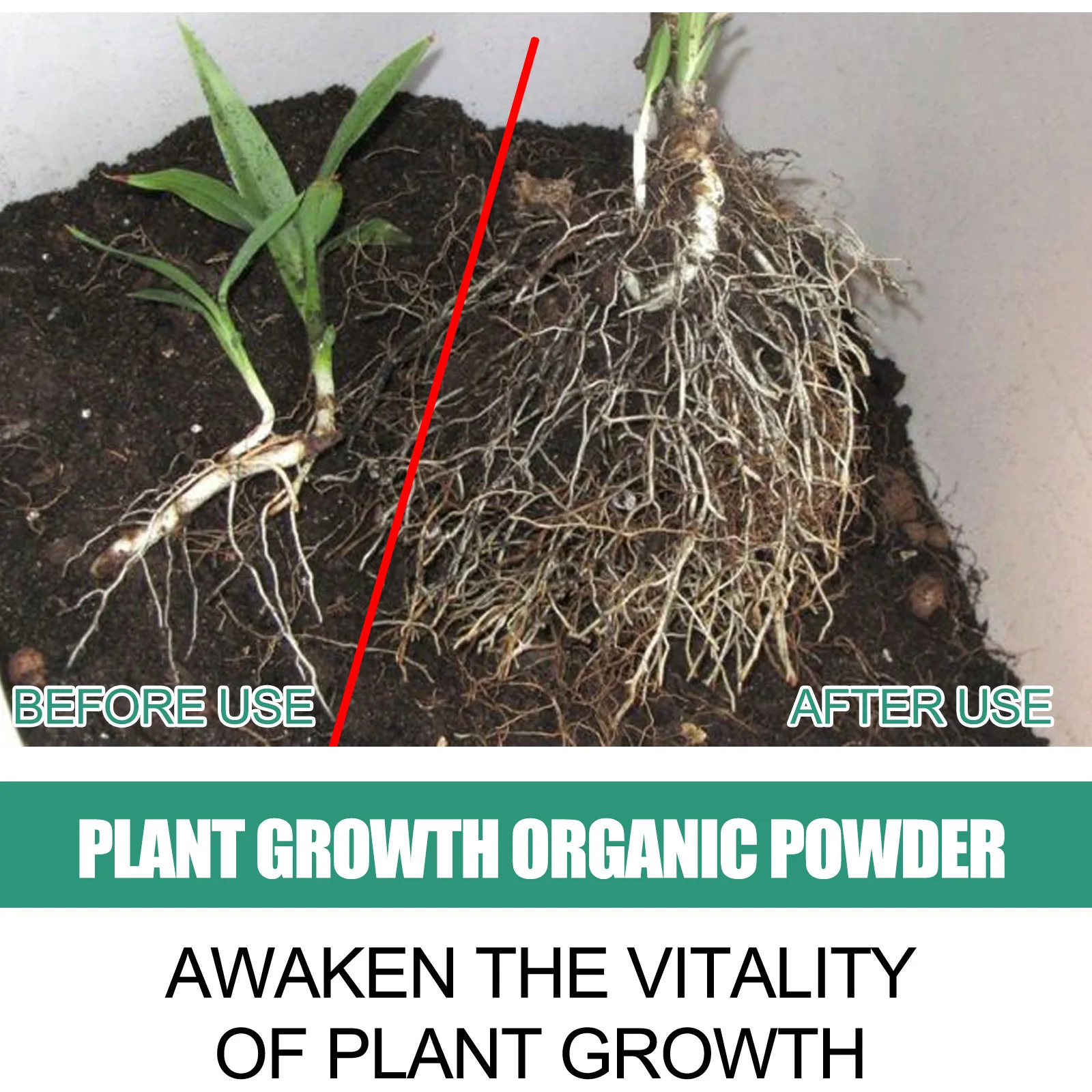 Outils hydroponiques de jardin - Rooting Hormone Powder avis et prix