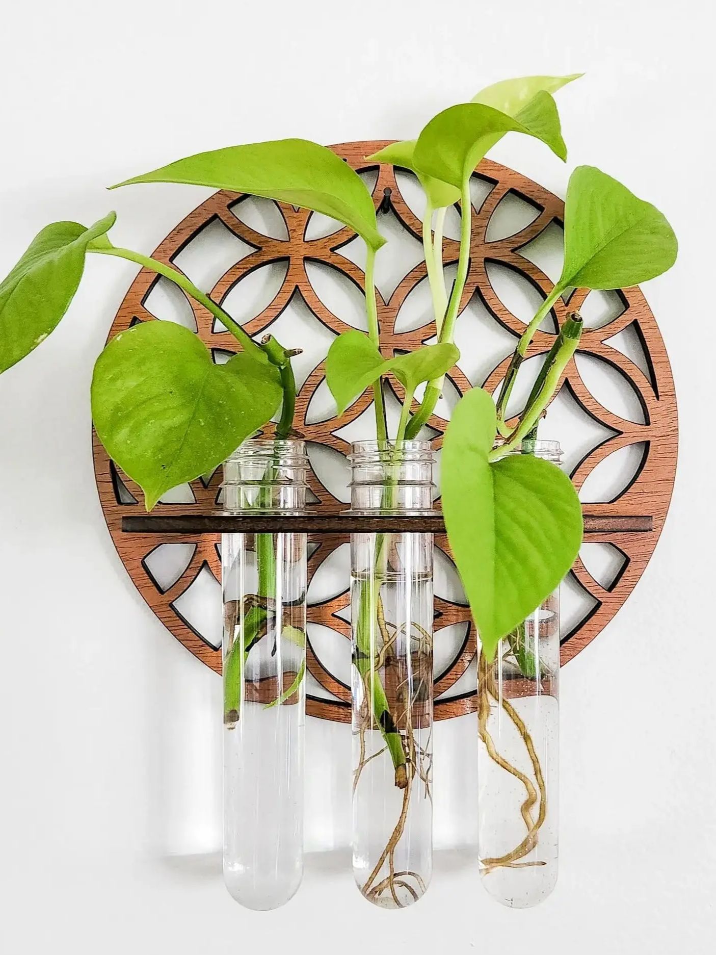 User inières murales de jardin - Propagation Station Vase avis et prix