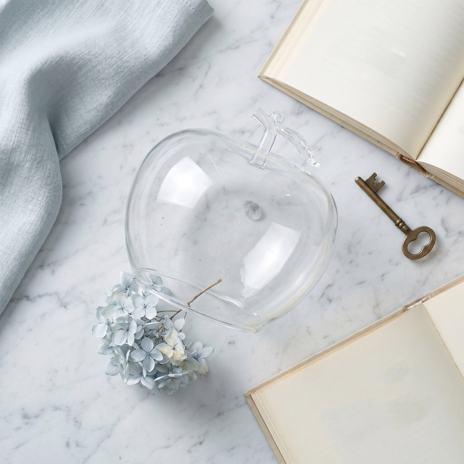 Cloche en verre transparent en - Plastic Dome Clear avis et prix