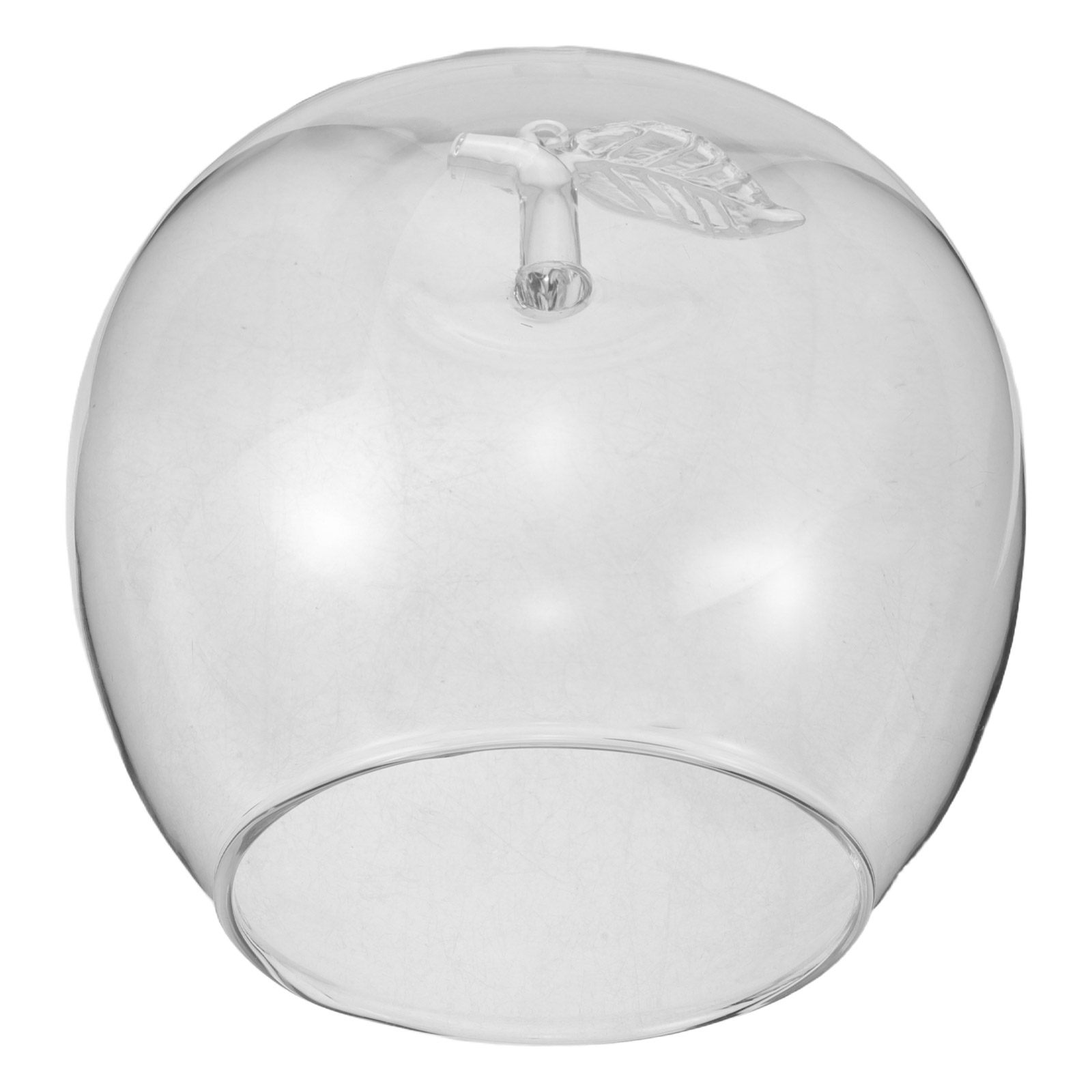 Cloche en verre transparent en - Plastic Dome Clear avis et prix