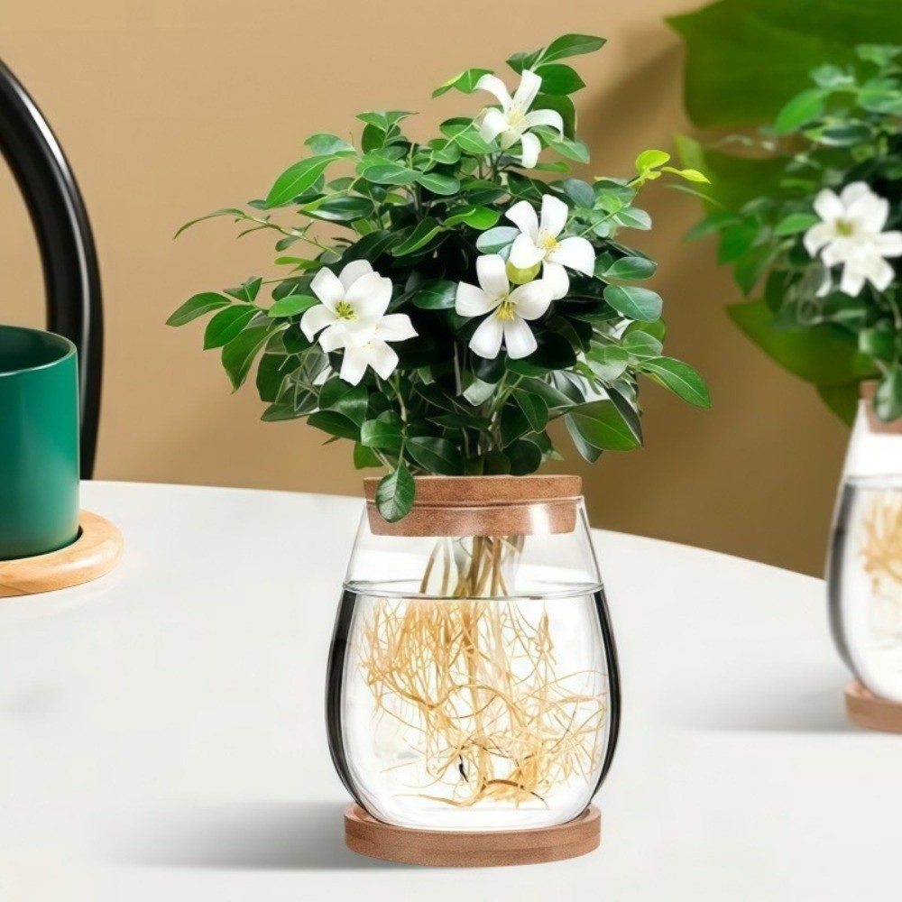 Pot de fleurs hydroponique tra - Propagation Station Vase avis et prix