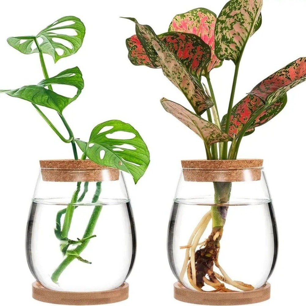 Pot de fleurs hydroponique tra - Propagation Station Vase avis et prix