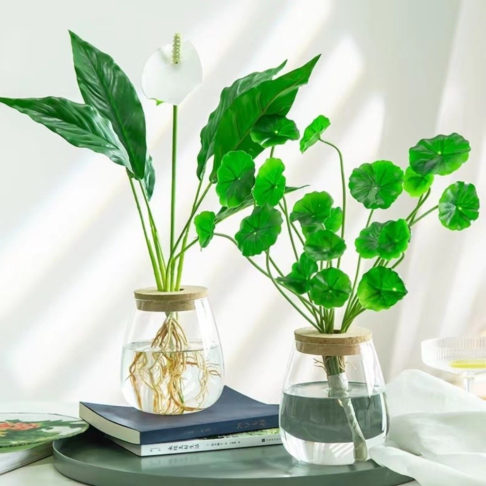 Pot de fleurs hydroponique tra - Propagation Station Vase avis et prix