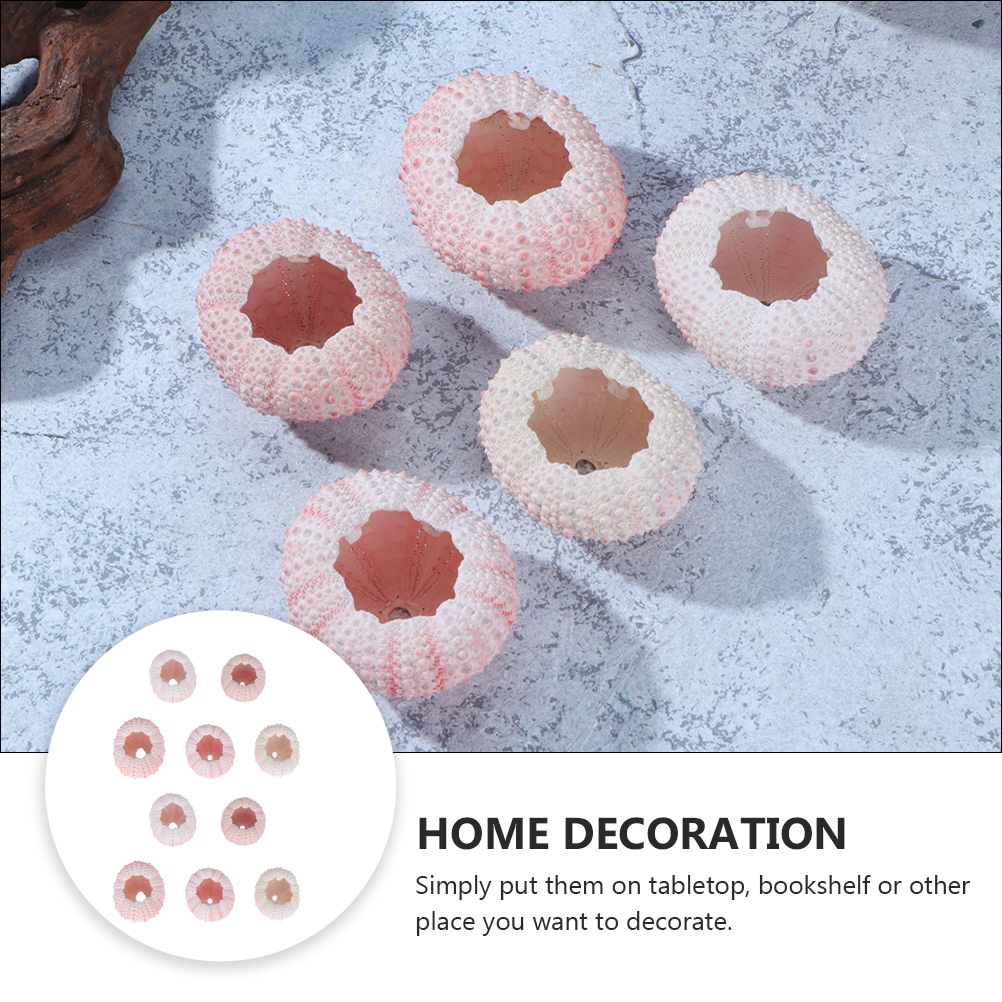 Coquilles miniatures pour bric - Propagation Station Vase avis et prix