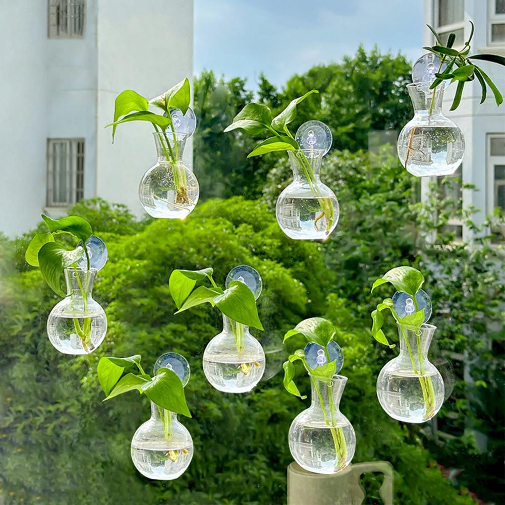 Vases de fenêtre, supports de  - Propagation Station Vase avis et prix