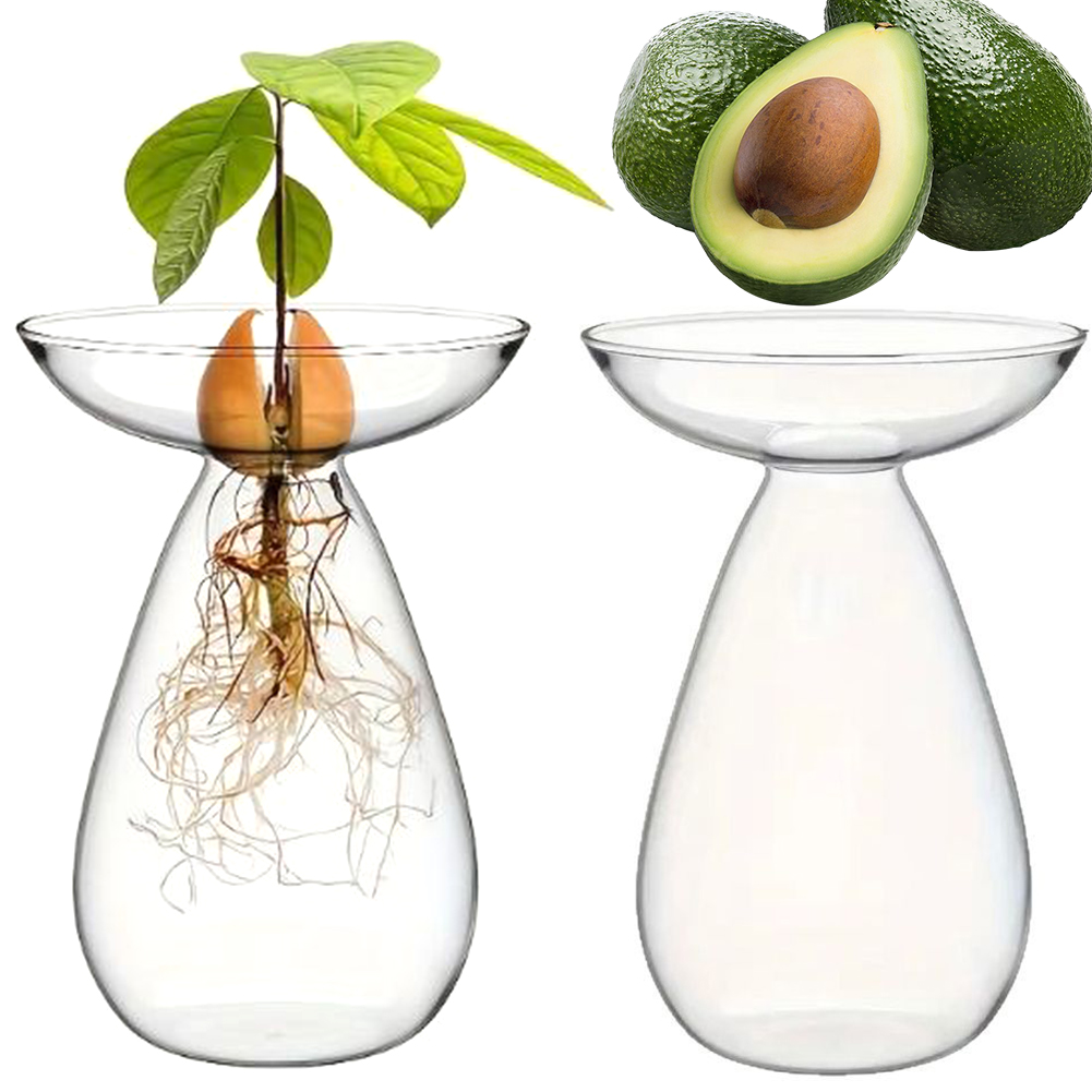 Vase hydroponique transparent  - Propagation Station Vase avis et prix