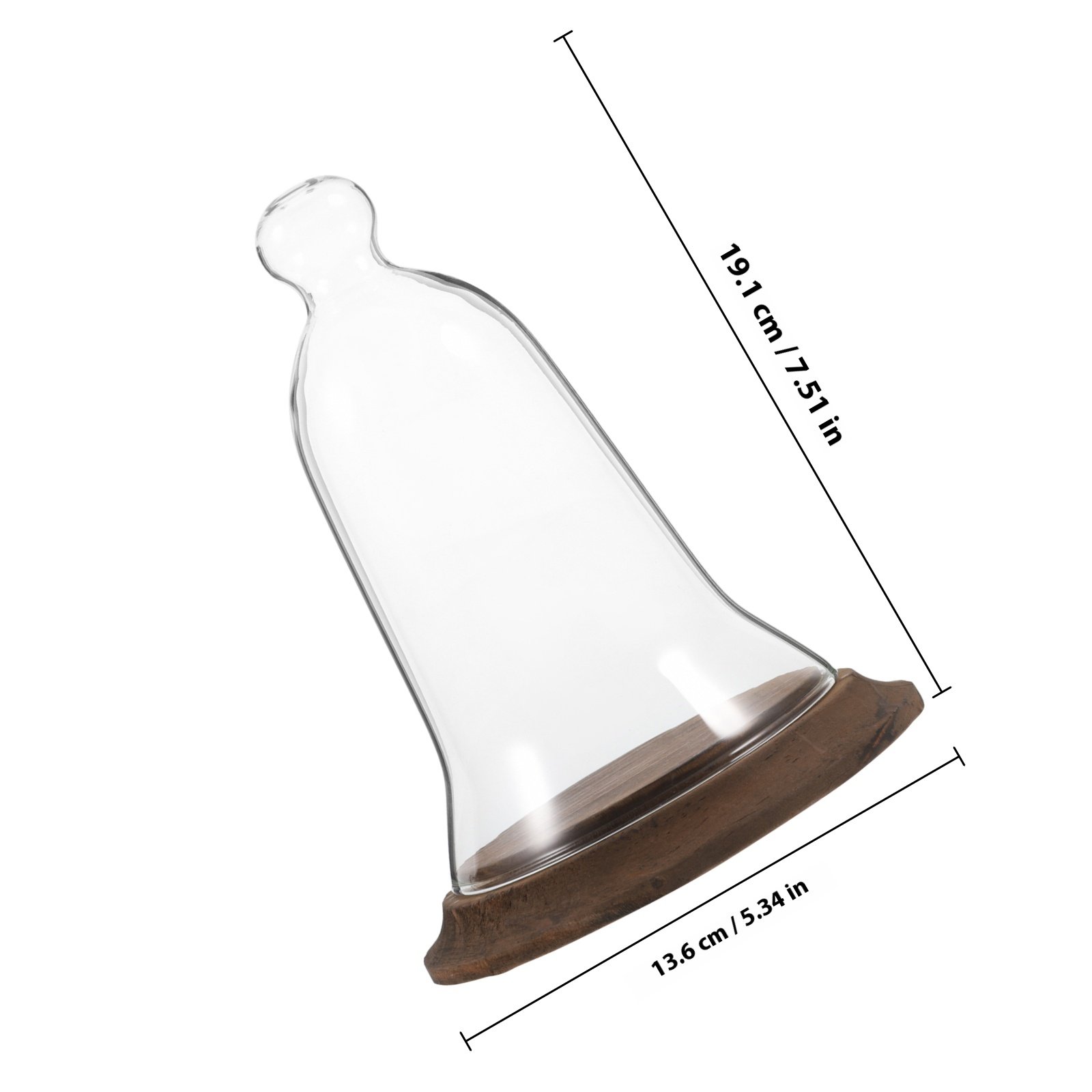 Cloche en verre borosilicate t - Plastic Dome Clear avis et prix
