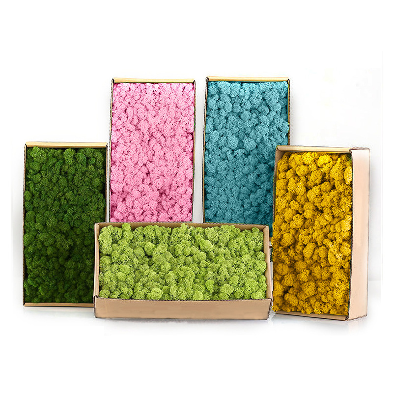 Plantes vertes artificielles M - Sphagnum Moss Dry avis et prix