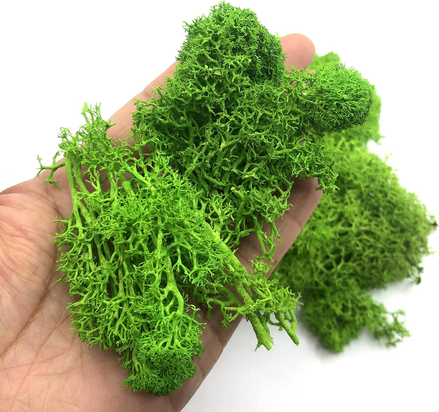 Mini plantes vertes artificiel - Sphagnum Moss Dry avis et prix
