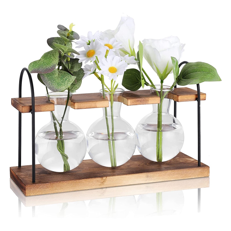 Station de propagation de plan - Propagation Station Vase avis et prix