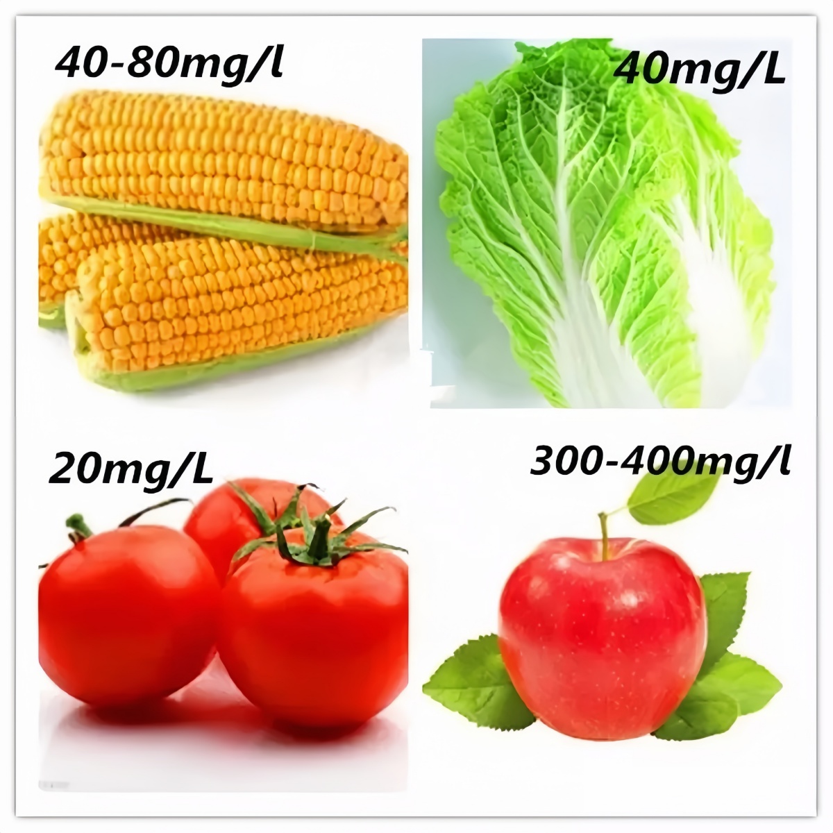 Acide indoléacétique IAA Auxin - Rooting Hormone Powder avis et prix