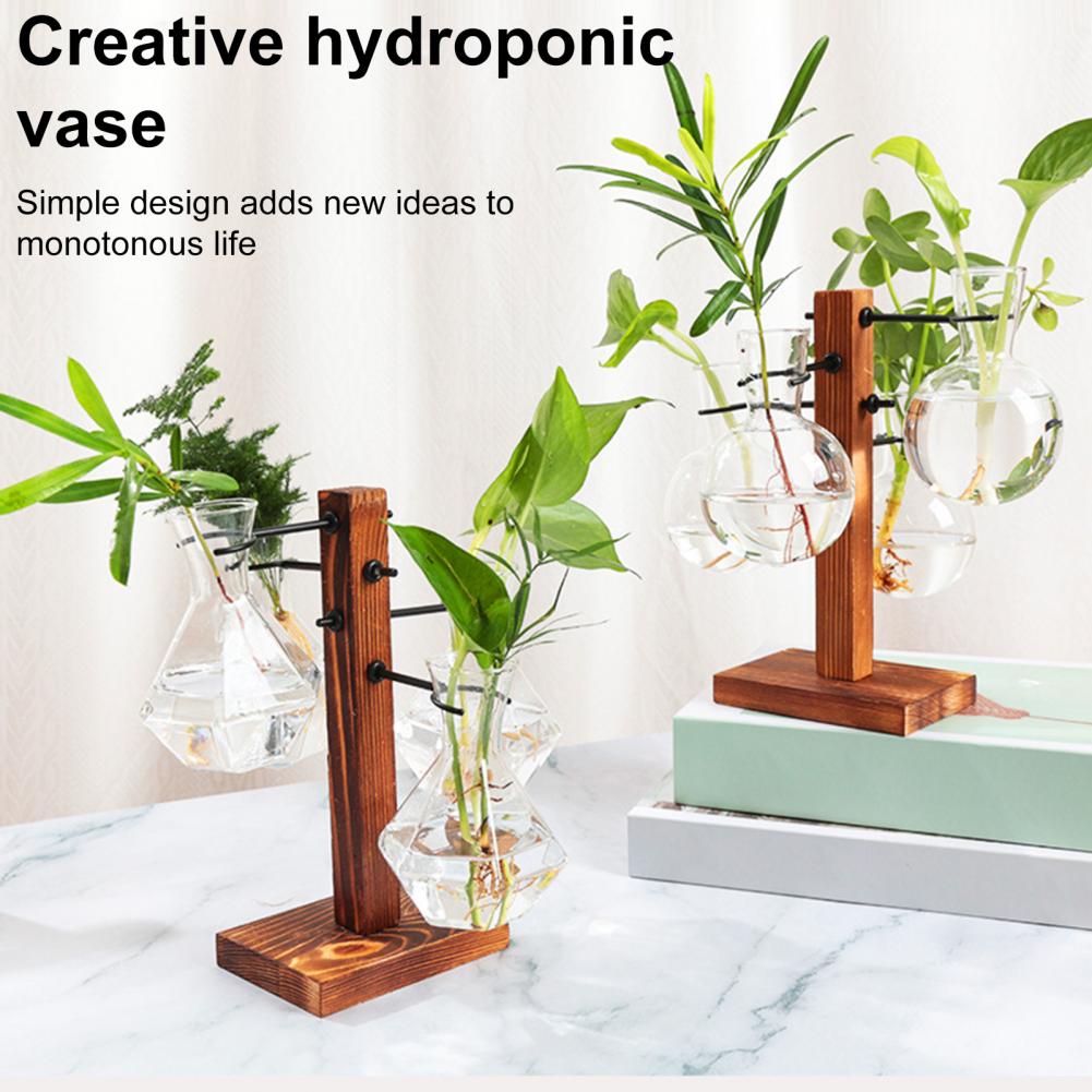 Station de Propagation de plan - Propagation Station Vase avis et prix