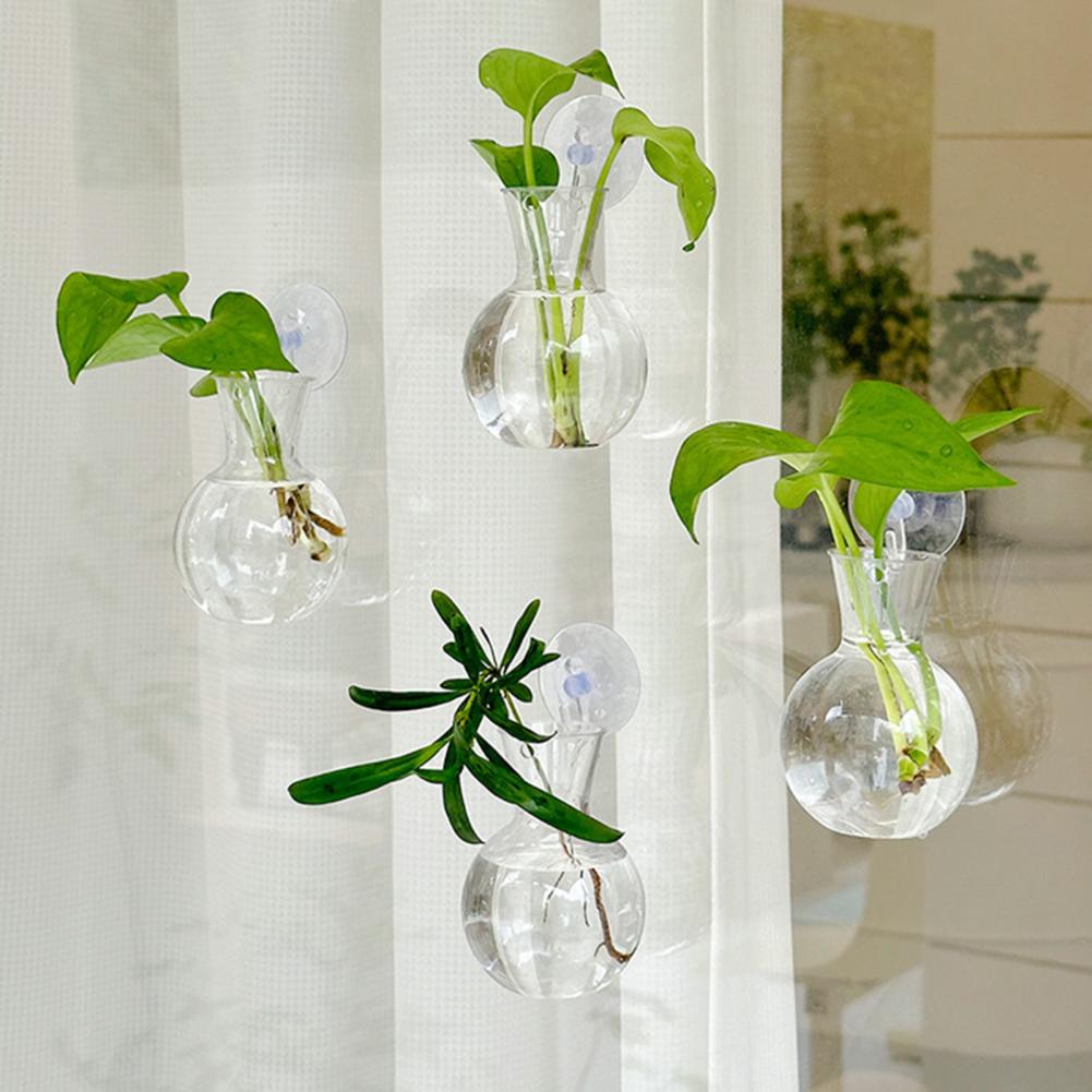 Lot de 1/2/3/4/6/8 Bulbes de p - Propagation Station Vase avis et prix