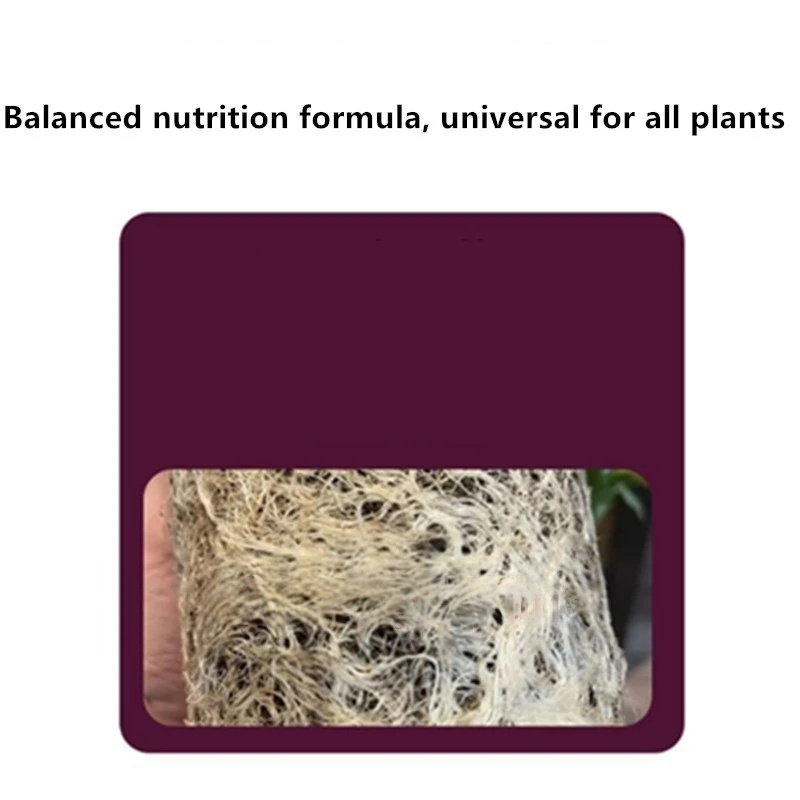 Poudre d'hormone d'enracinemen - Rooting Hormone Powder avis et prix