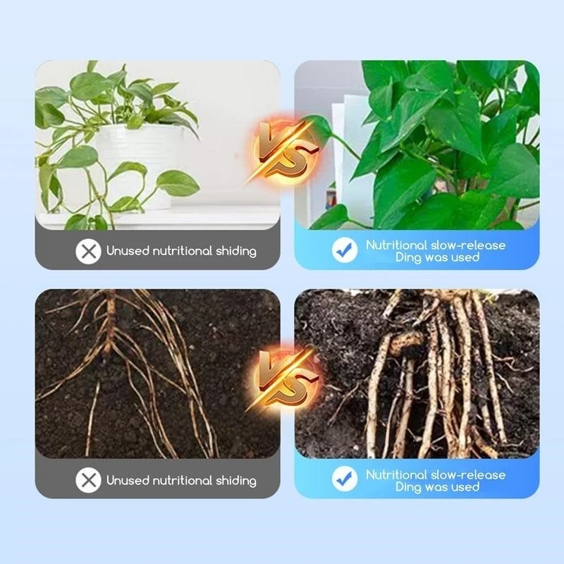 Poudre d'hormone d'enracinemen - Rooting Hormone Powder avis et prix