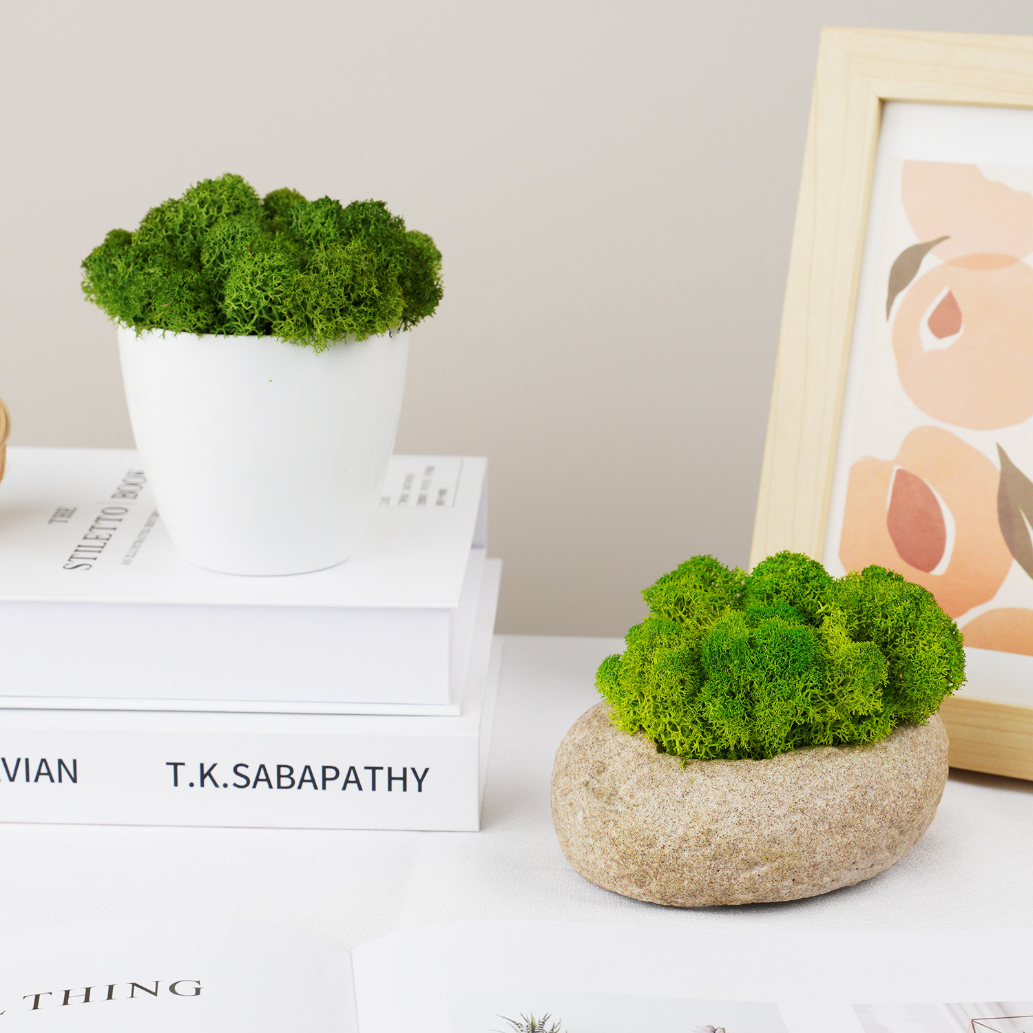 Simulation de mousse verte nat - Sphagnum Moss Dry avis et prix