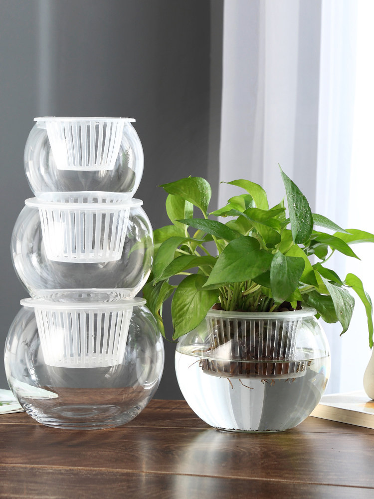 Vase en verre hydroponique, va - Propagation Station Vase avis et prix