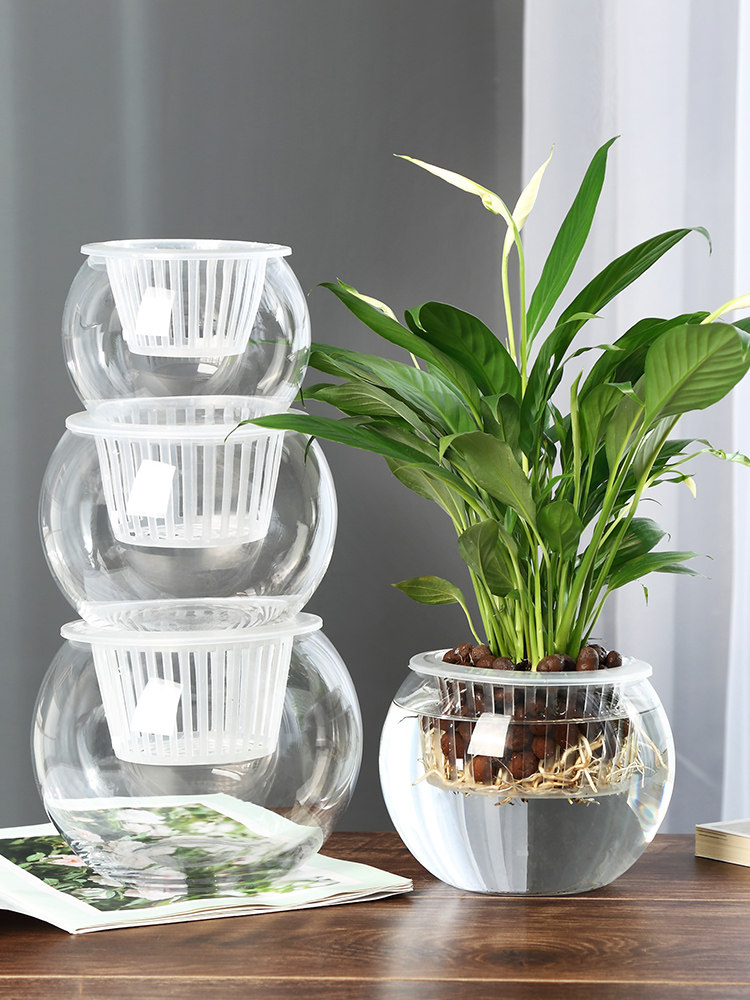 Vase en verre hydroponique, va - Propagation Station Vase avis et prix